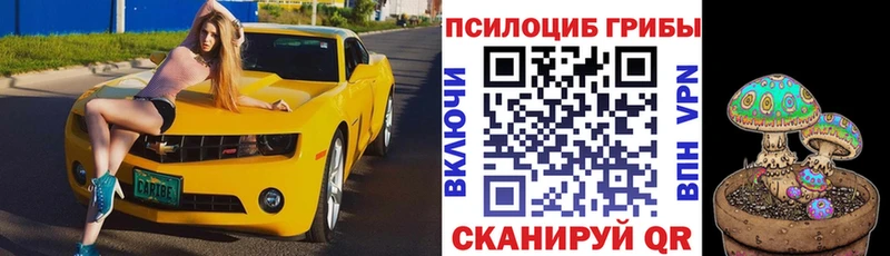 Галлюциногенные грибы прущие грибы  цены наркотик  Елизаветинская 